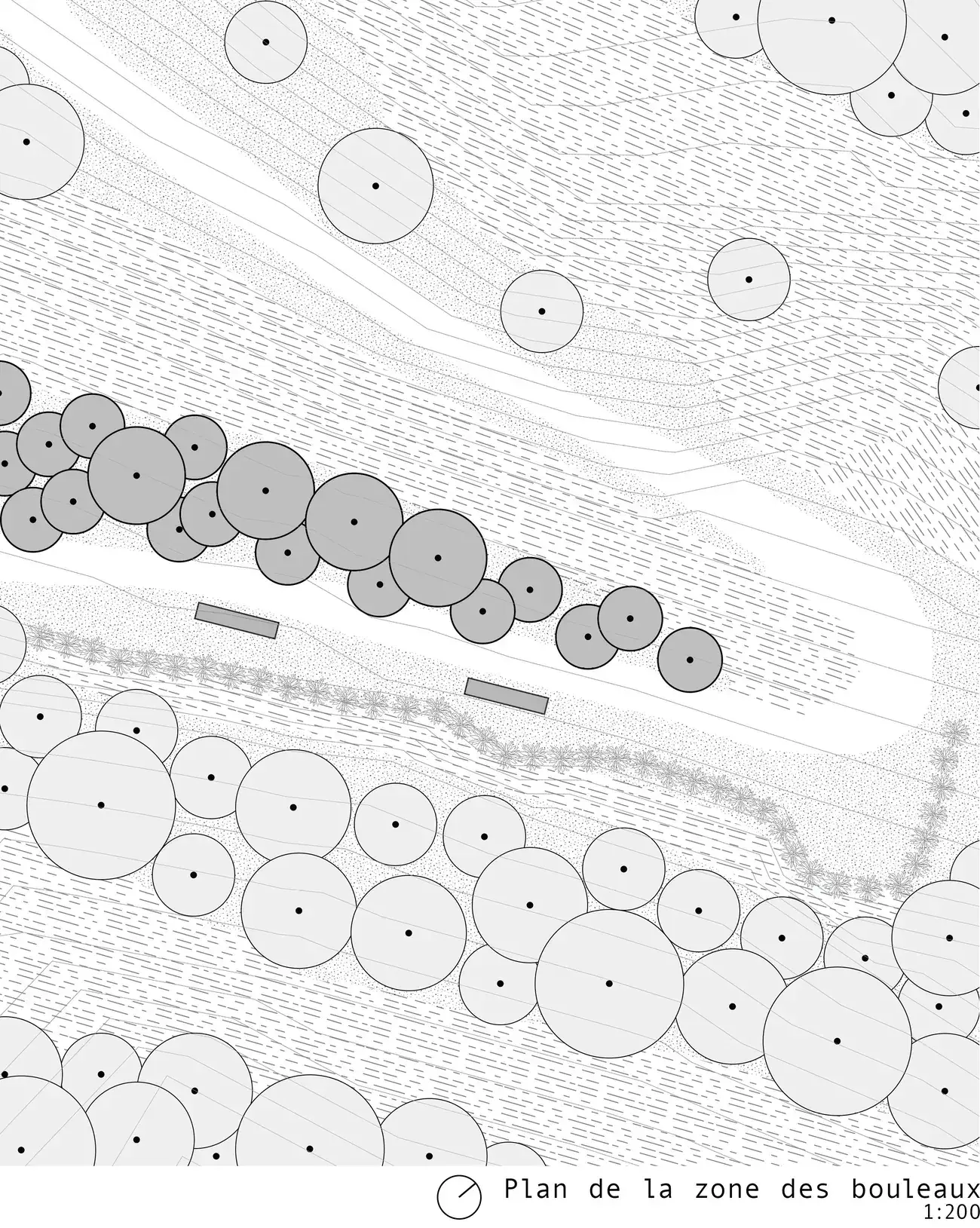 Plan de la zone des bouleaux